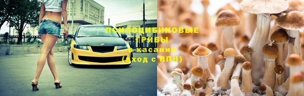 спайс Алексеевка