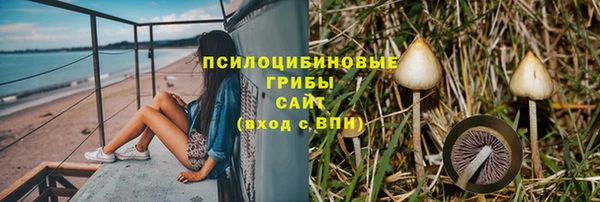 спайс Алексеевка
